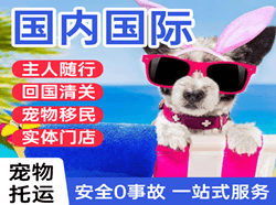 呼伦贝尔海拉尔航空托运国际宠物托运 【国